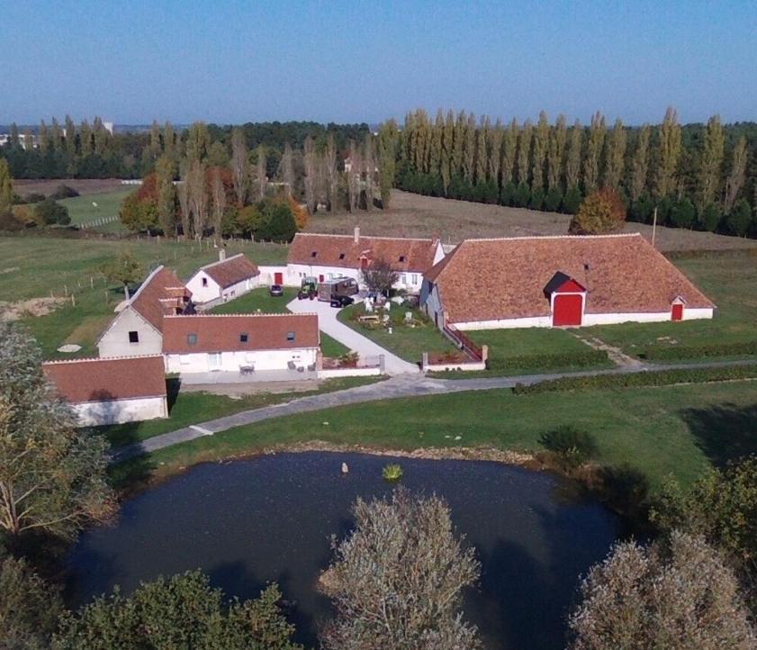 La Maison Des Biquettes Romorantin-Lanthenay Esterno foto